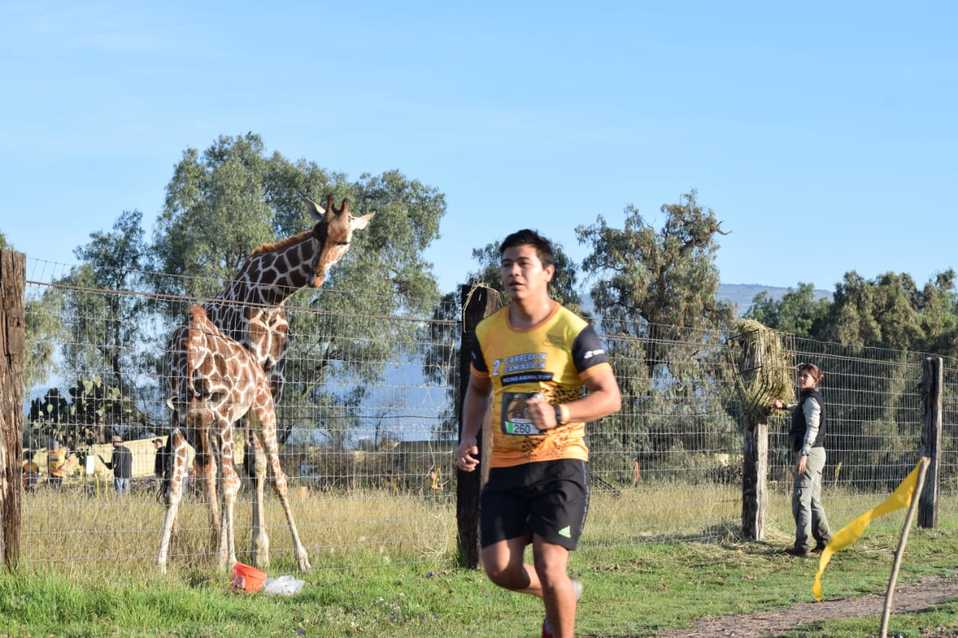 El evento se realizará este 6 de octubre en las instalaciones del parque en Reino Animal. (Especial)