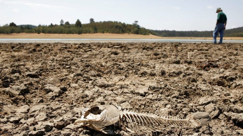 Lagunas y presas afectadas por la sequía.  (Especial)
