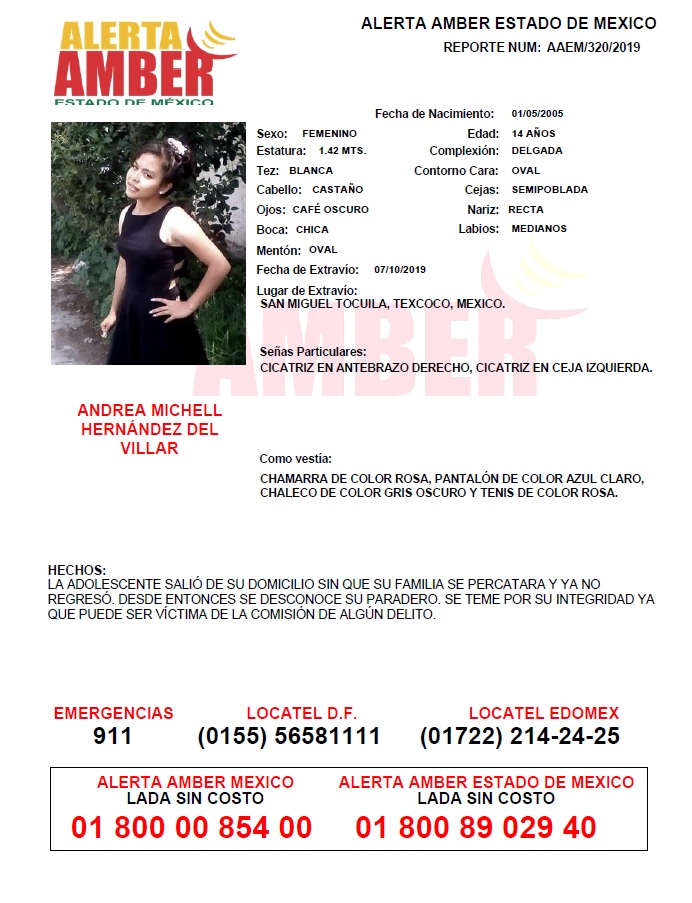 La joven fue vista por última vez el 7 de octubre de 2019 en San Miguel Tocuila, Texcoco. (Especial)