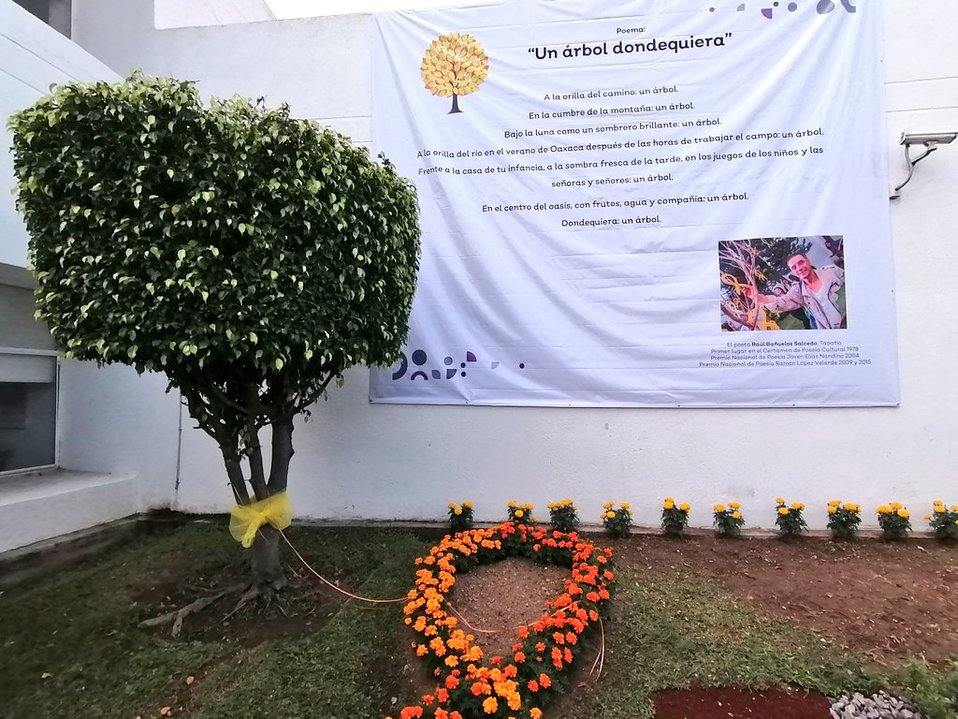 El Salme presentó el Jardín temático con motivo del Día de la Salud Mental (Twitter @saludjalisco)