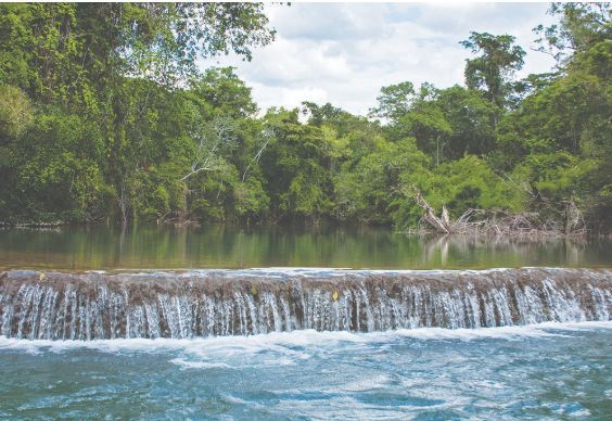 Reserva de la Biósfera de Montes Azules. | Secretaría de Medio Ambiente y Recursos Naturales