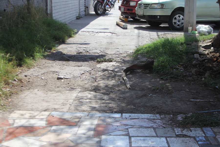 ¿En Torreón, está permitido modificar la banqueta enfrente de tu casa? (Archivo)