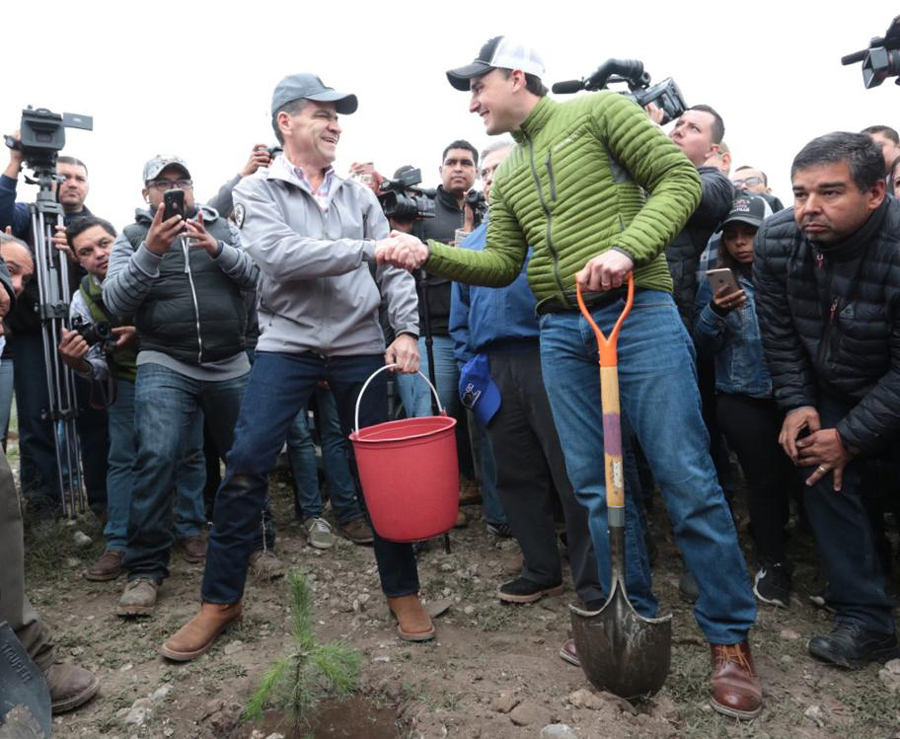 Se realizará la plantación de 10 mil árboles en una extensión de 18 hectáreas. (Especial)