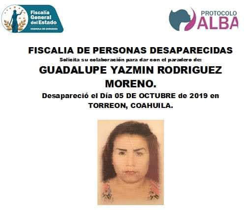 Se informó que con la no localización de Guadalupe, se activó el protocolo Alba, mismo que coordina a los tres órdenes de gobierno. (Especial)