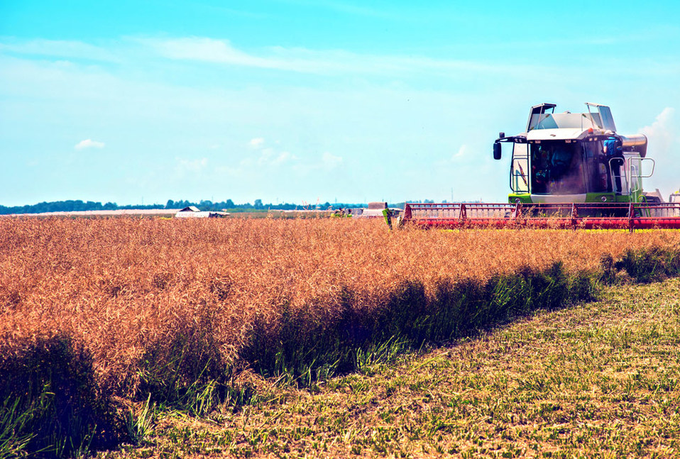 Agroindustria.