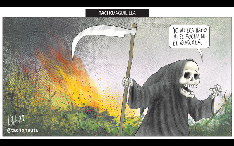 Aguililla