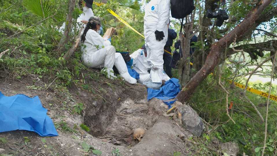 Los integrantes de los colectivos localizaron los restos en una fosa clandestina.