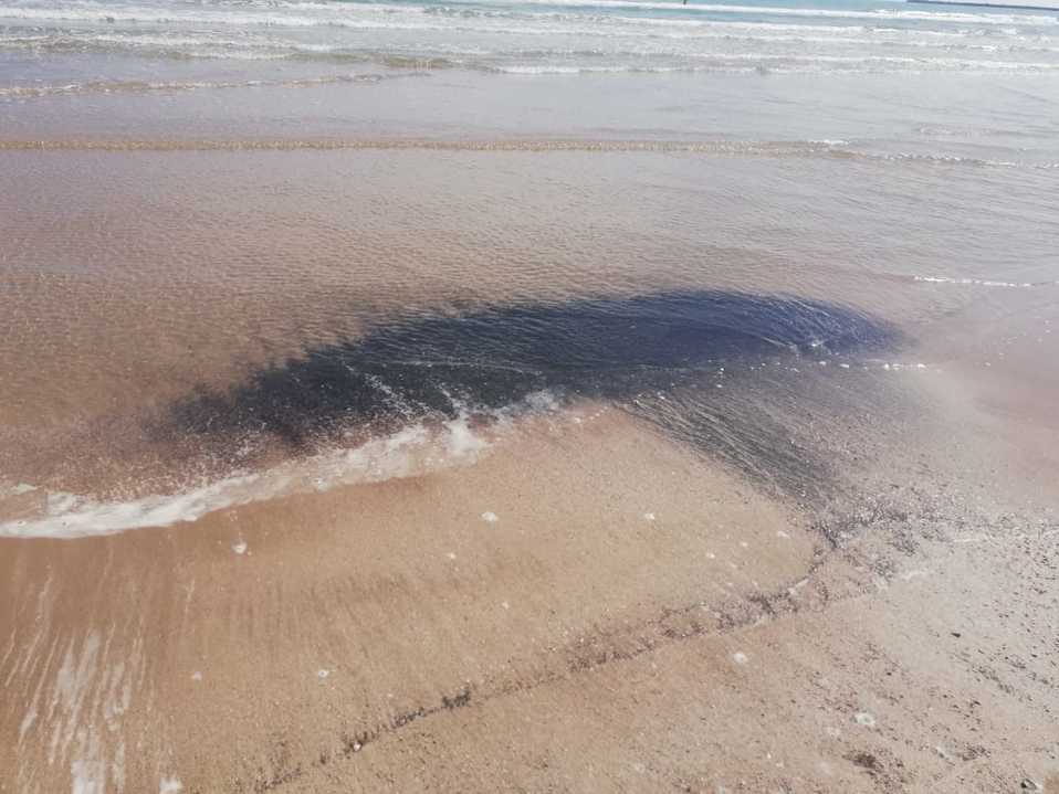 Mancha de  hidrocarburo en playa Miramar (Foto/Lucero Reyes)