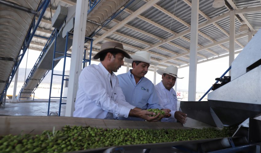 Tamaulipas suma más alternativas de empleo (Foto/Vía Gobierno de Tamaulipas)