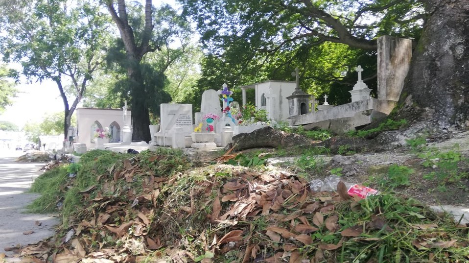 Cementerio de Tampico.