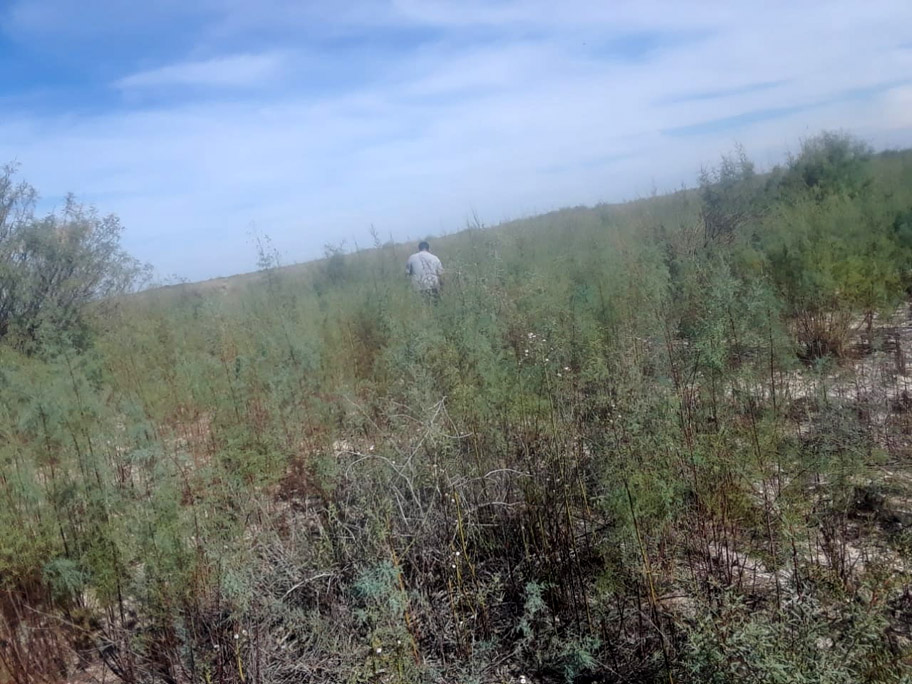Fue localizado a lado de su perro, quien lo acompañó las 30 horas. (Milenio Digital)
