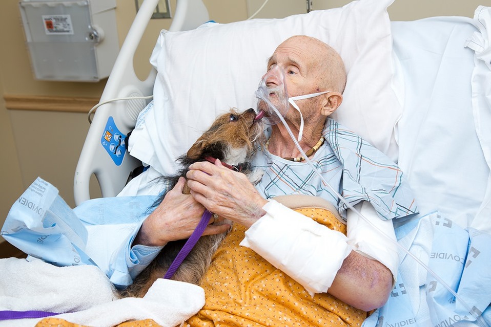 Veterano de guerra pide ver a su perro como último deseo (Facebook).