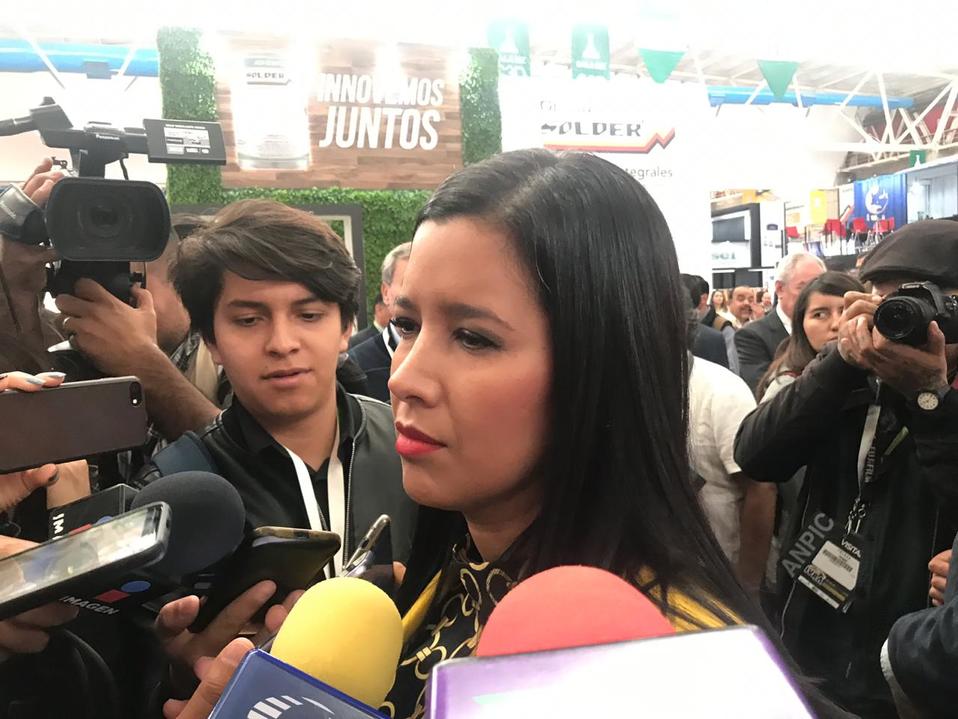 Comisionada de Seguridad Ciudadana en el Estado de Guanajuato, Sophia Huett López.