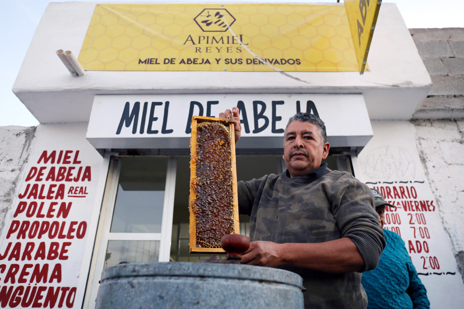 En 2019, la falta de lluvias en la región afectó directamente la producción de miel de abeja. (Mauricio Román)
