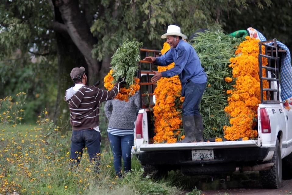 Es uno de los símbolos más importantes de la celebración del Día de Muertos. (Melanie Torres)