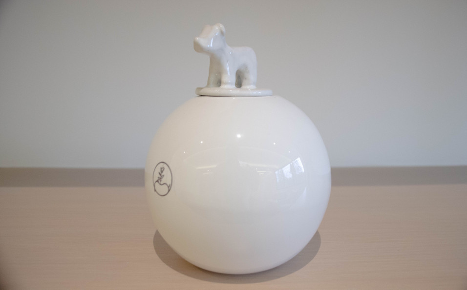 Las urnas están hechas en especial para que recuerdes a tu mascota (Cortesía)