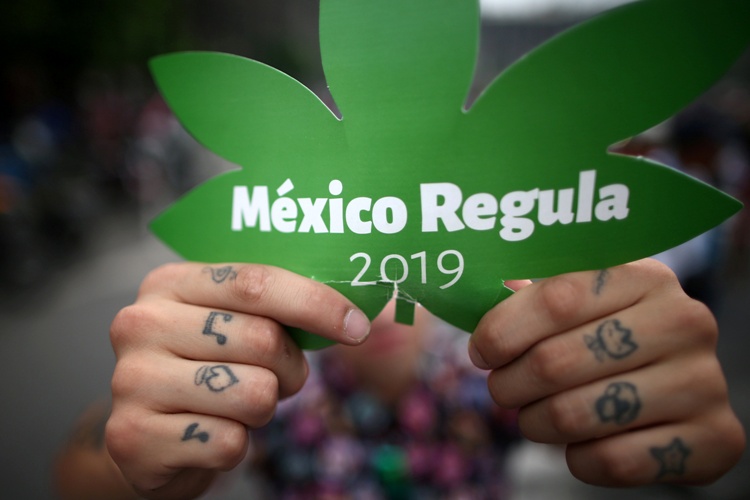 El Senado necesita más tiempo para discutir despenalización de la mariguana, dice el coordinador de Morena, Ricardo Monreal.