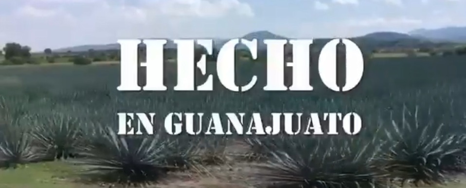 Captura de pantalla "Marca GTO".
