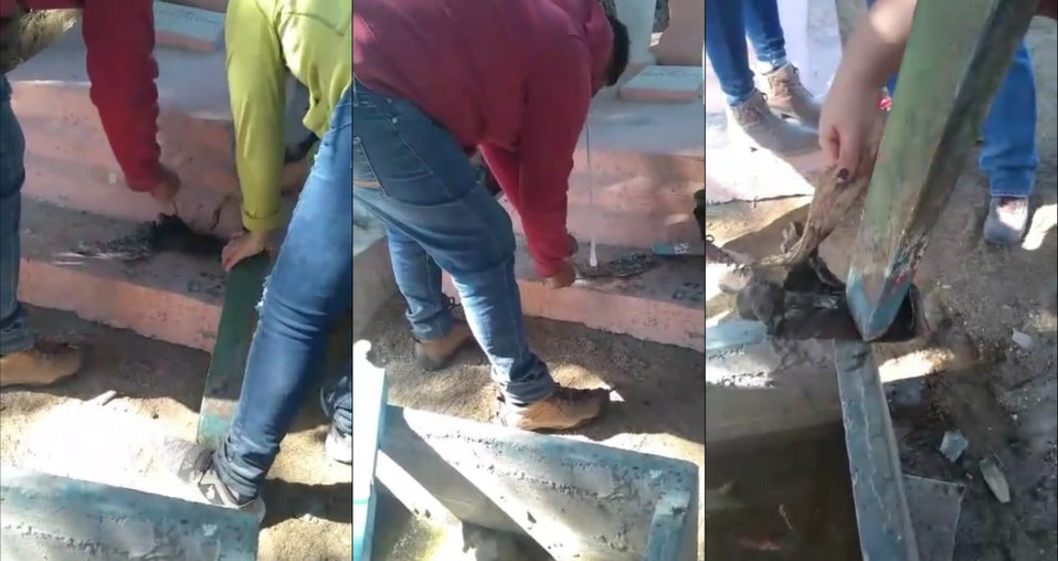 El velador del panteón mencionó que no es la primera vez que se encuentran estos objetos. (Especial)