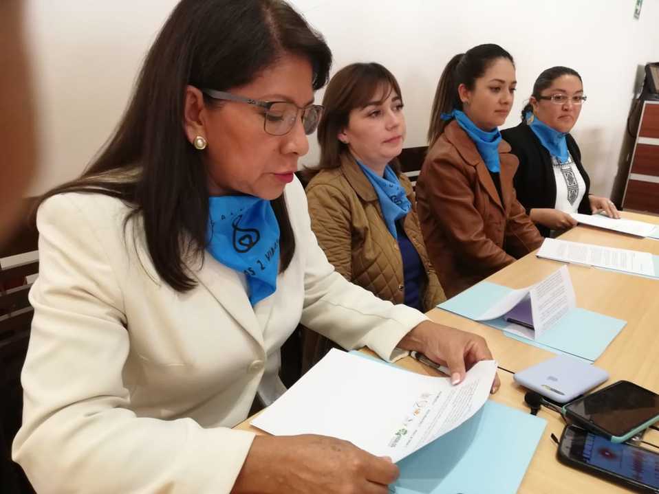 Integrantes de la Ola Celeste señalaron que continuarán acudiendo a las sesiones conjuntas. (Alejandro Reyes)