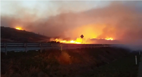 Los incendios fueron reportados en Ensenada. (Said Betanzos)