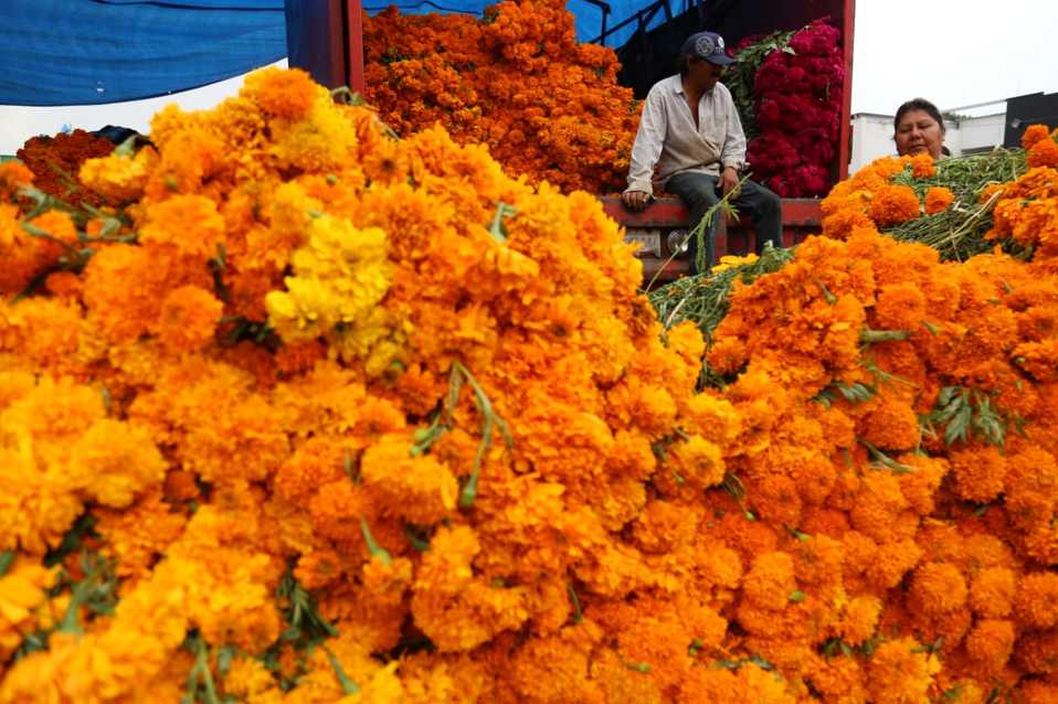 Vendedores de flores en la Central de Abastos de Pachuca. (Jorge Sánchez)