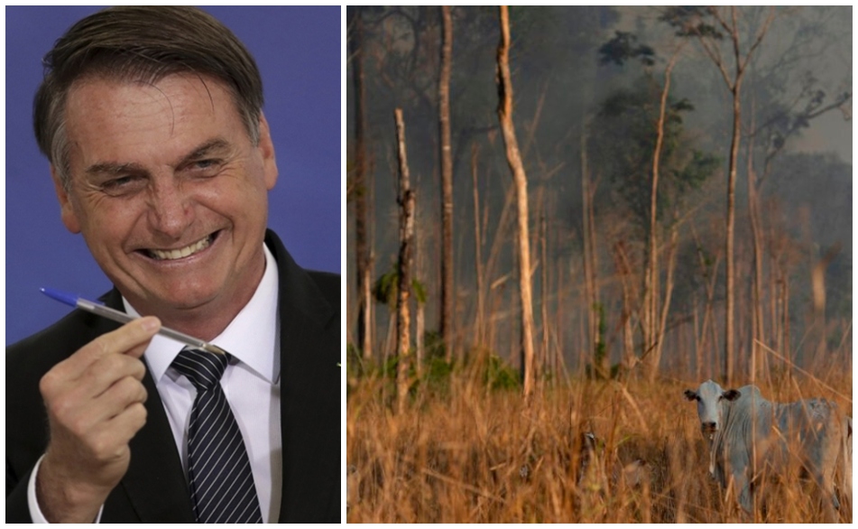 En agosto se registraron los peores incendios en la historia del Amazonas. (AP / Archivos)