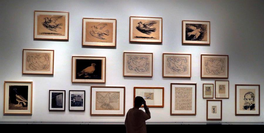 Pinturas y  dibujos de Picasso. (EFE)