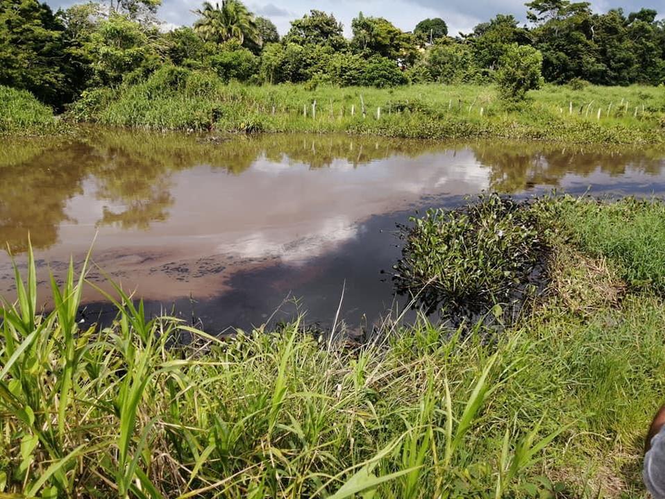 En el río se hallaron manchas de combustible. (Isabel Zamudio)