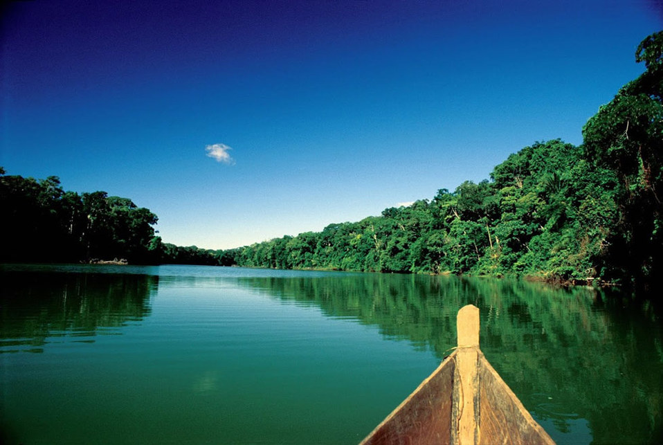 La compañía Jungle Experiences Amazon River Cruises ha donado 22 mil dólares para el cuidado del Paiche peruano.