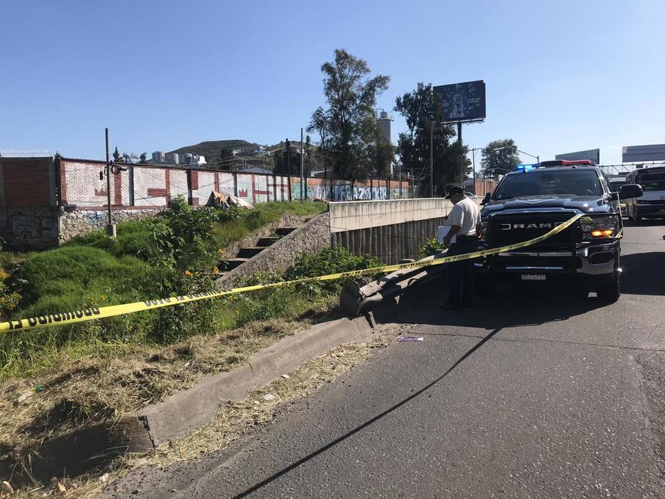 El hallazgo genera tráfico en la zona, debido a que los automovilistas reducen la velocidad para observar (Elsa Martha Gutiérrez)