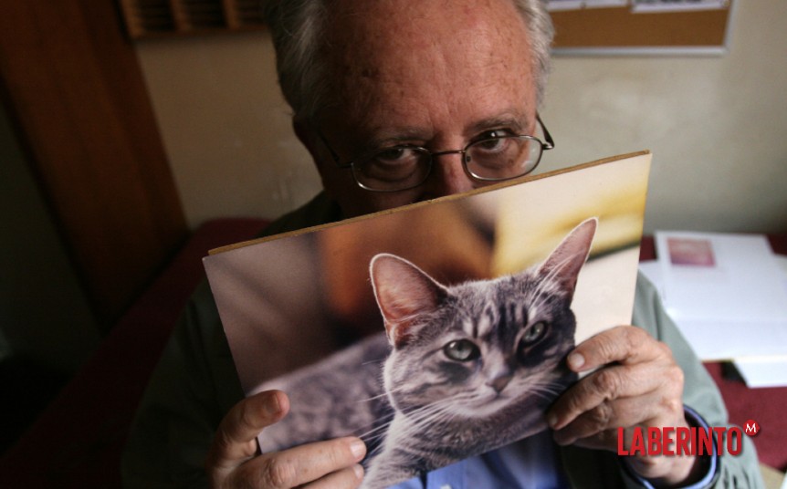 José de la Colina se esconde detrás de la foto de un gato. (Foto: Paola García)