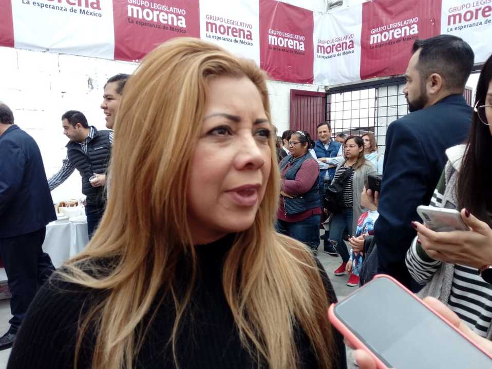 Paola González, diputada federal de Morena por el distrito VII. (Foto: Carolina León)