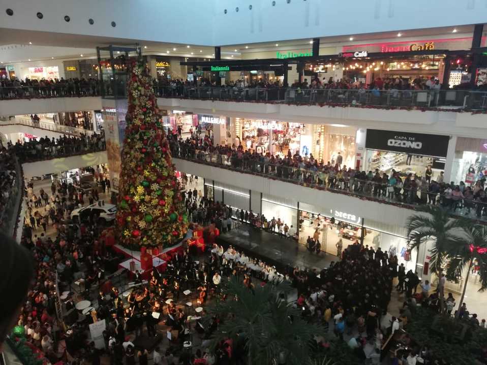 Encendido de pino navideño en Altama. (Yazmín Sánchez)