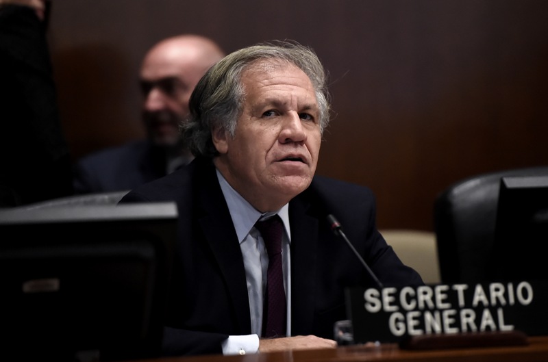 Luis Almagro, titular de la OEA. (AFP)