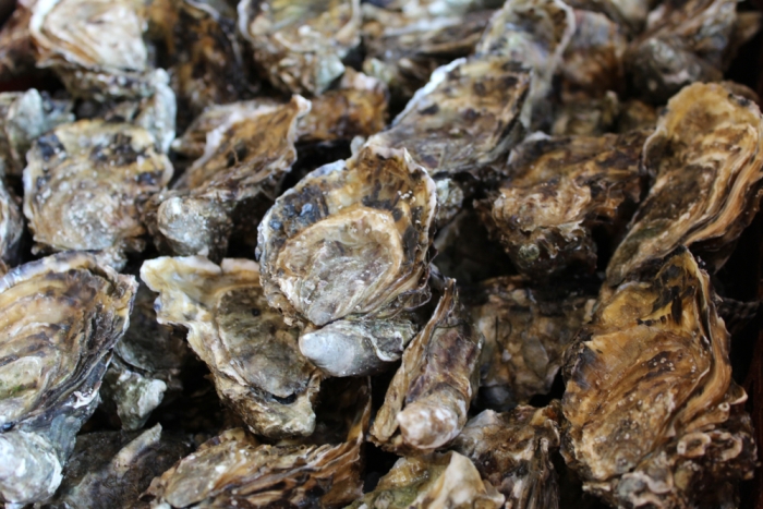 Los mariscos contienen microplásticos, reveló estudio (Shutterstock).