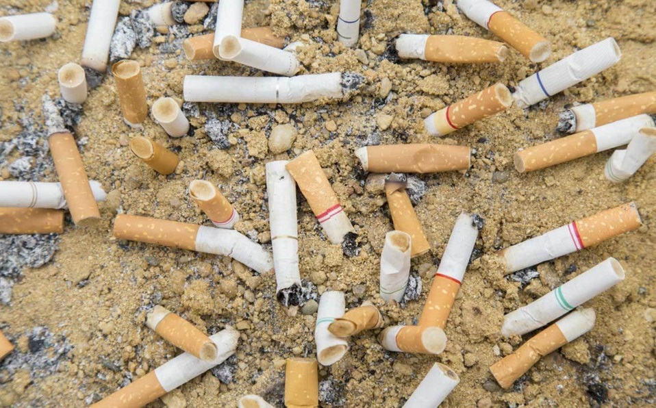 Las colillas de cigarro son el mayor contaminante de muchas áreas (Foto: Especial)
