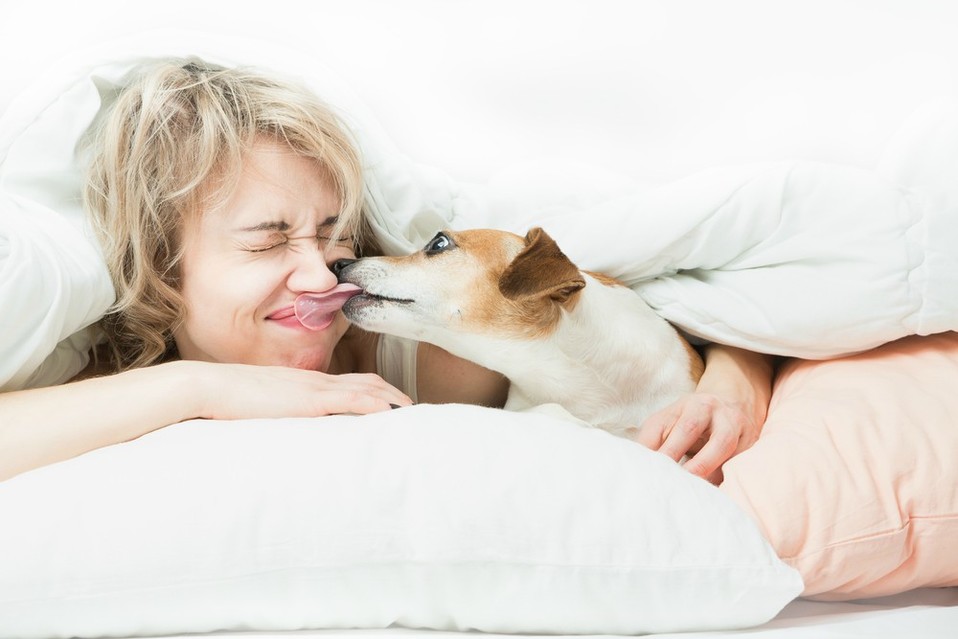 (Shutterstock).