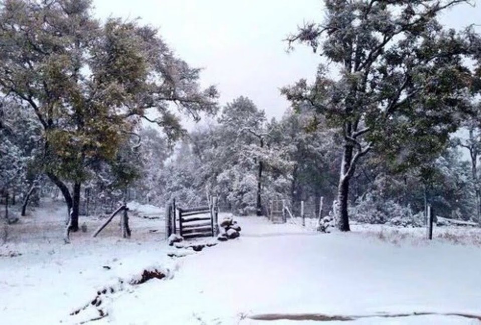 Se registra caída de nieve en Jalisco