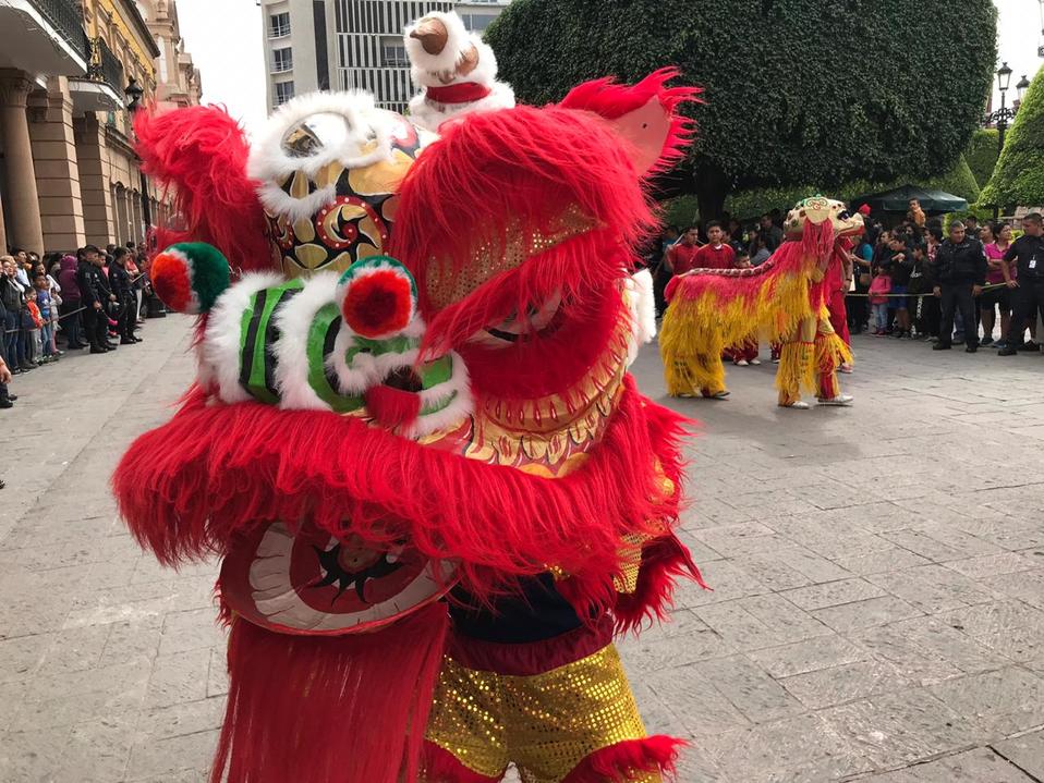 Foto: Viviana Martínez.