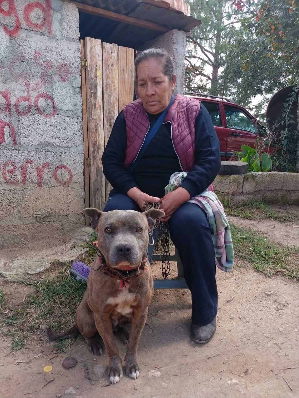 Habitantes de Huasca asisten a la segunda campaña de esterilización de Previniendo Huellitas. (Cortesía)