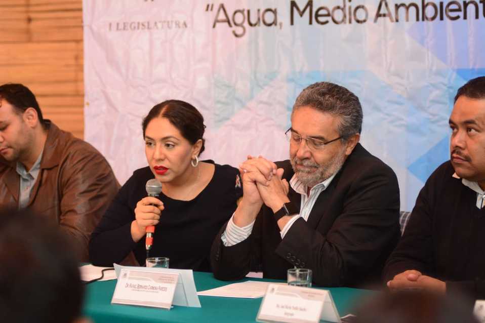 La presidenta de la Comisión de Gestión Integral del Agua en el Congreso local que la Ley General de Agua que deberá estar lista a más tardar el próxi