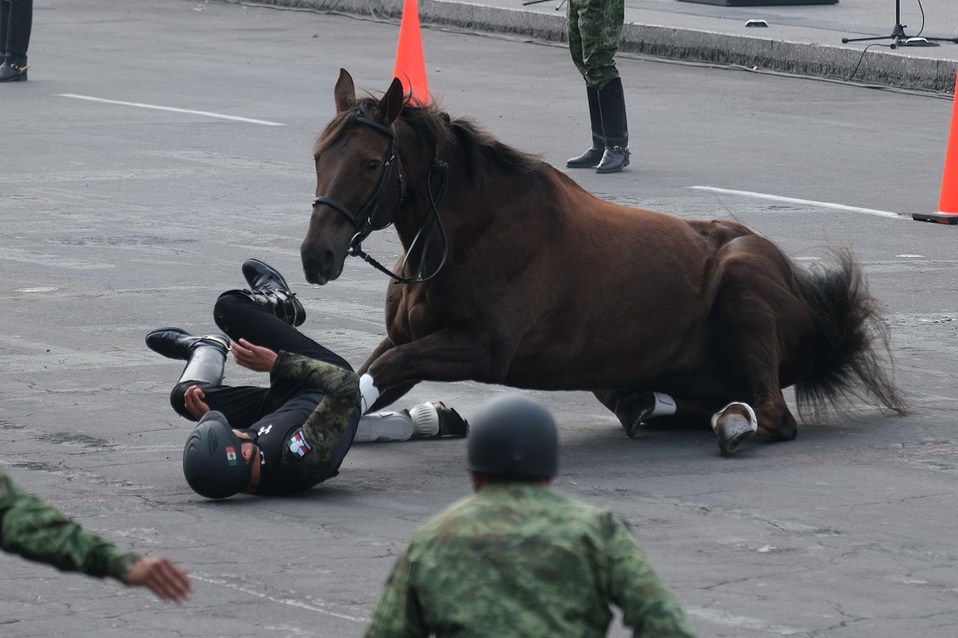 El jinete y su caballo se cayeron durante el desfile para conmemorar la Revolución. (Cuartoscuro)