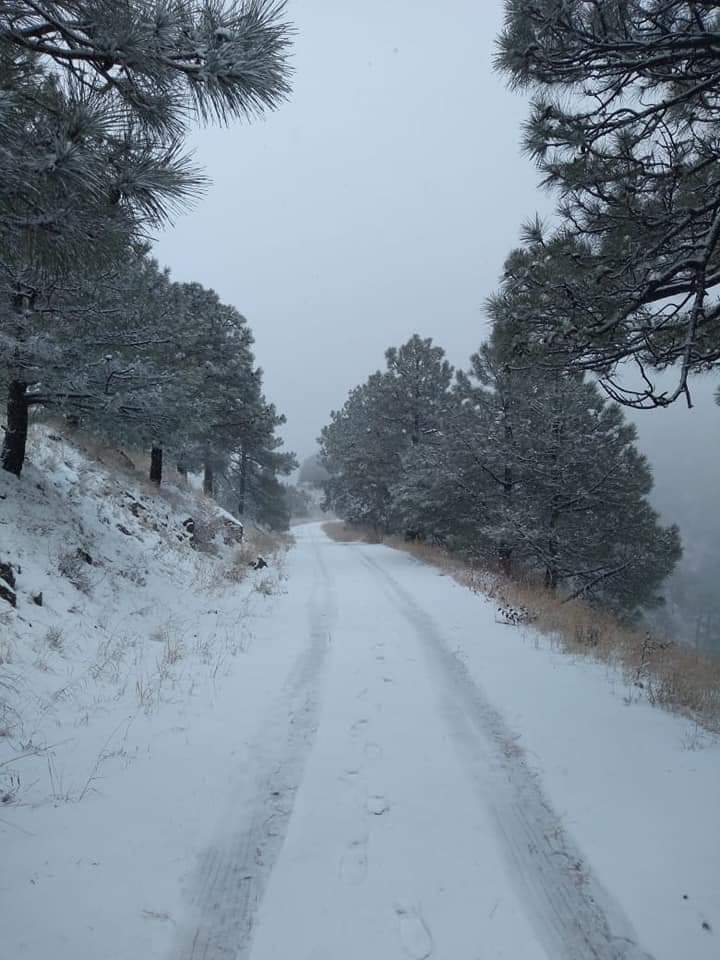 La Conagua detalló que para Chihuahua y Durango se pronostican temperaturas de menos cinco grados. (@arenadeluna22)