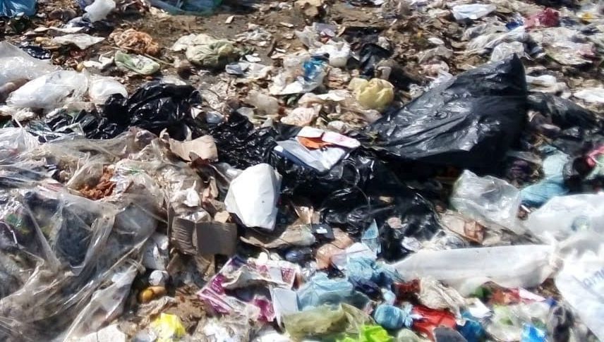 Residuos biológicos son encontrados en basureros.  (Especial)