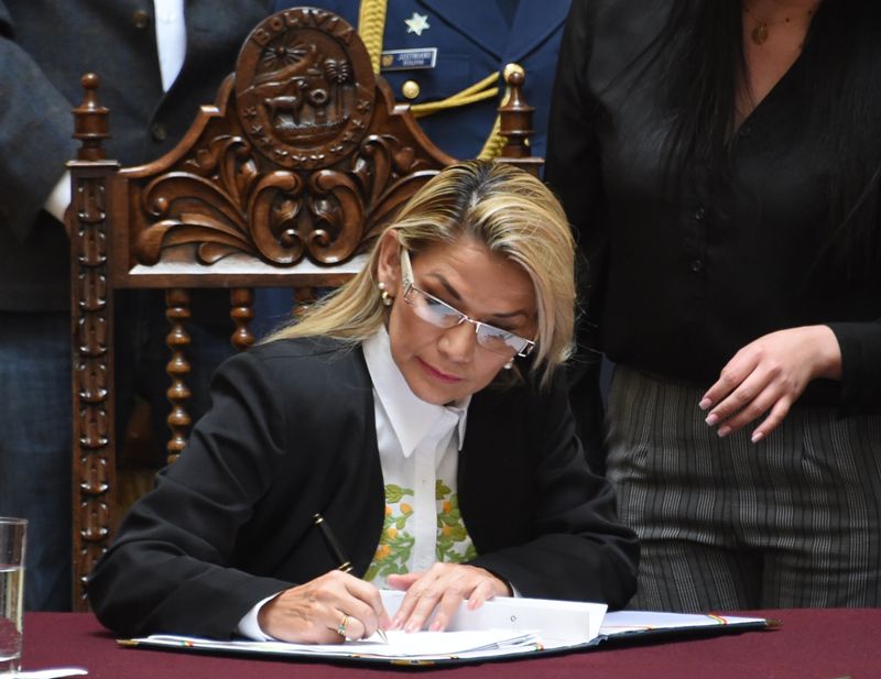 Jeanine Áñez, promulgó la ley este domingo. (AFP)