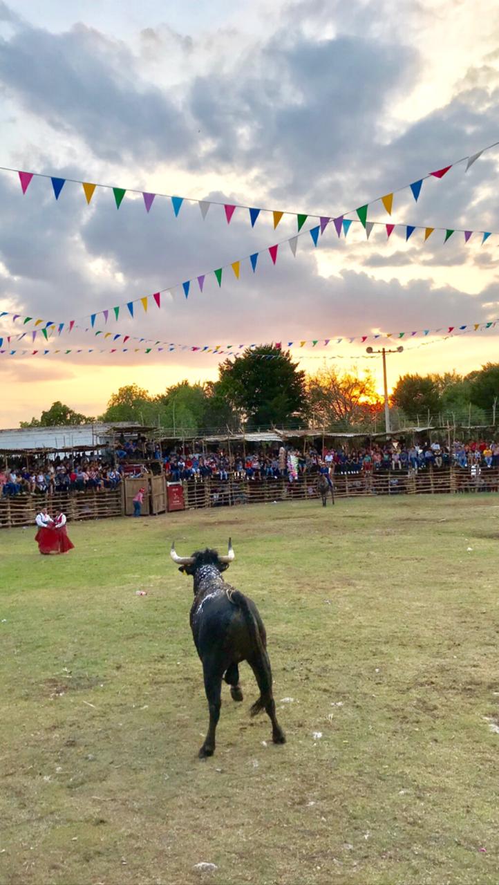 Las corridas de toros y las peleas de gallos están prohibidas a partir de hoy. (Alejandro Vázquez)