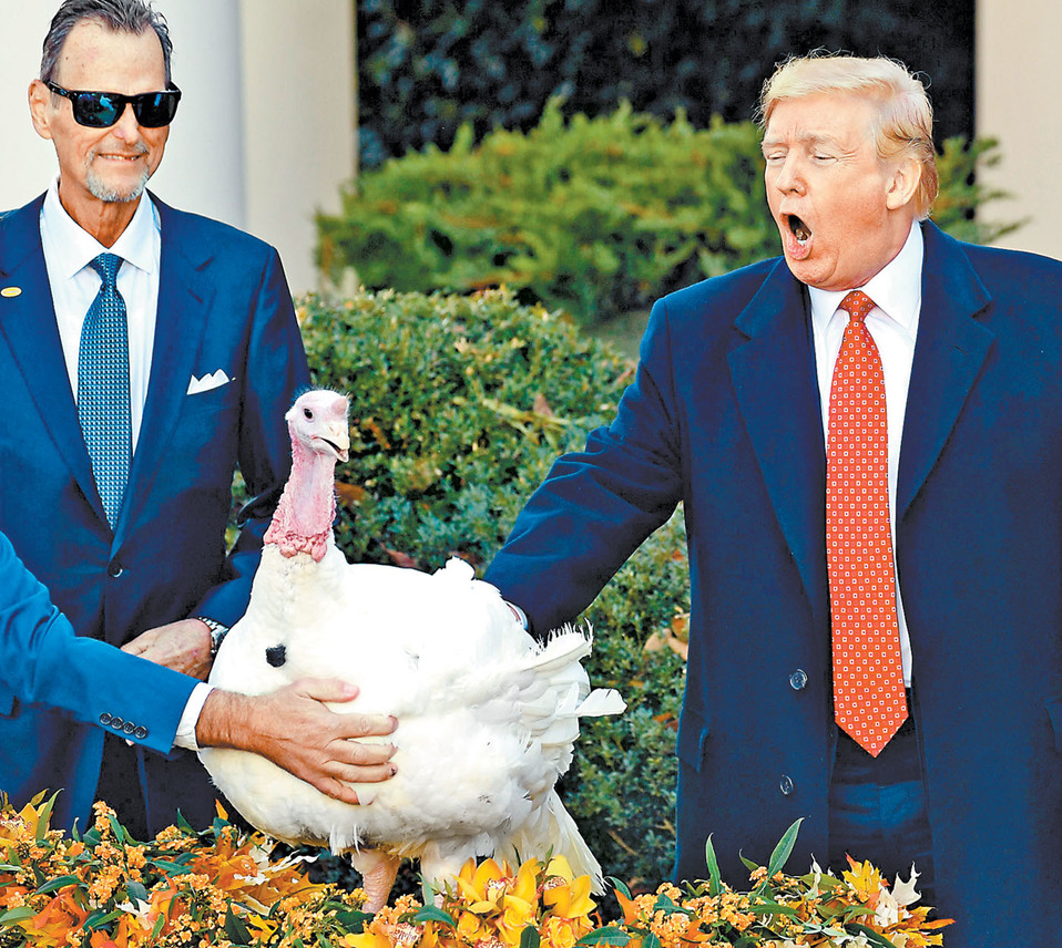 El republicano cumplió la tradición y perdonó pavos por el Día de Acción de Gracias. (AFP)