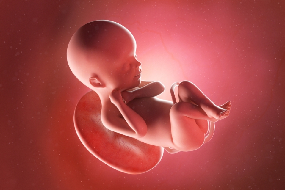 Eslovaquia obligará a las mujeres que quieran abortar a escuchar y ver al feto. (Shutterstock)