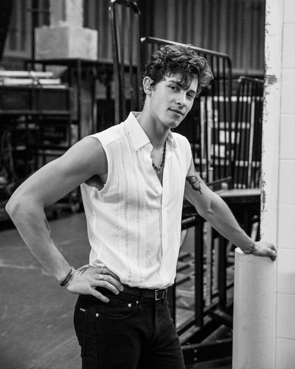 Shawn Mendes cancela concierto por problemas de salud (Instagram).